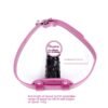 Supplies Lock Couple Ball Gag Toys